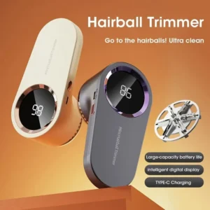 Electric lint remover