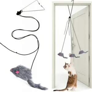 Interactive cat toy
