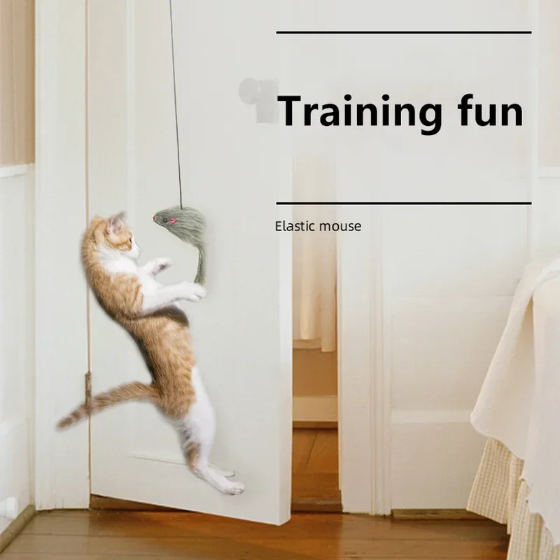 Interactive cat toy hooked over a door